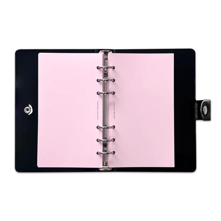 Standard Love Dance - LEEGONG Black Cherry Pie 6-Ring Binder - Line Friends Square - Ring Binder - Harumio