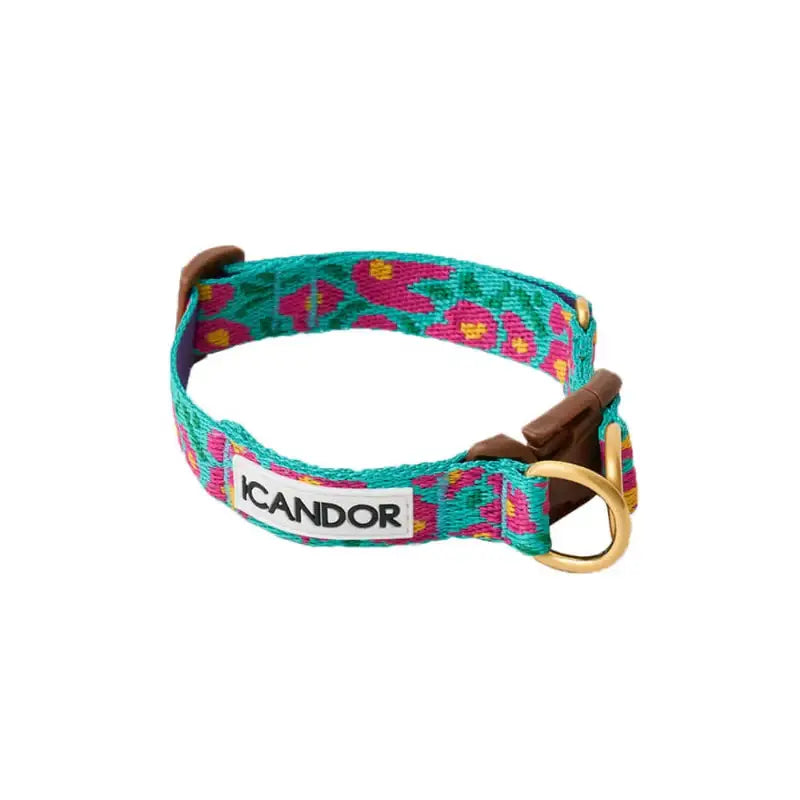 iCANDOR - Gentle Collar Dual - iCANDOR - Pet Collars - Harumio