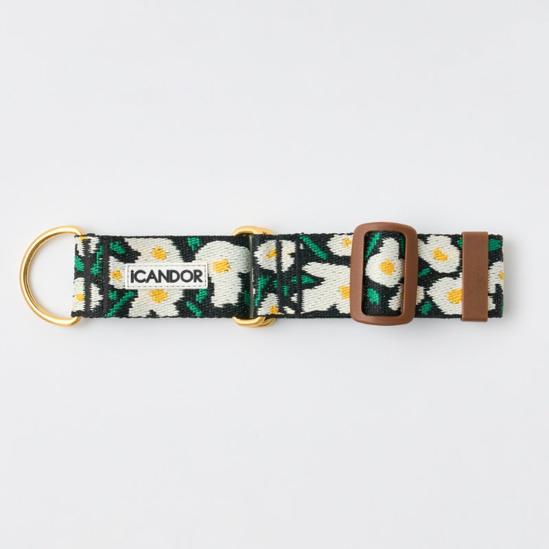 iCANDOR - Smooth Martingale Collar