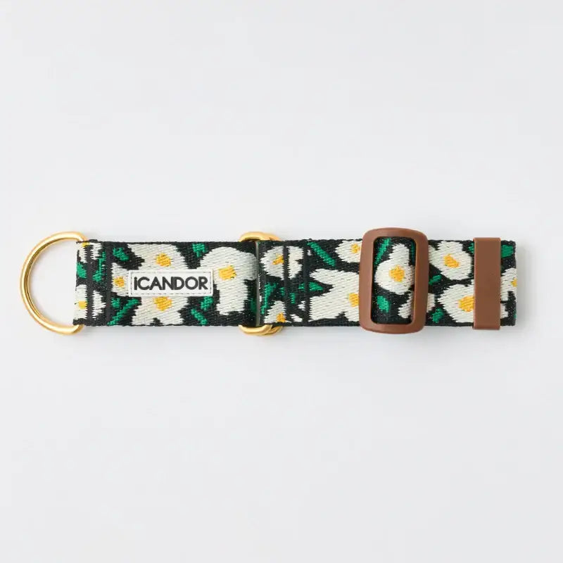 iCANDOR - Smooth Martingale Collar - iCANDOR - Pet Collars - Harumio