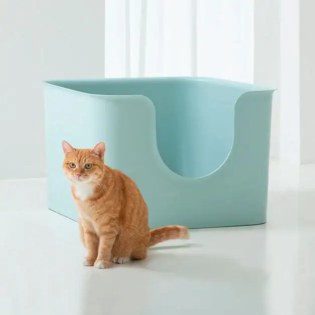Duit - Poo Poo Cube Box - Duit - Home & Living, Accessories - Harumio