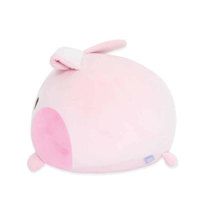 NARA HOME DECO x BT21 - Minini Round Cushion