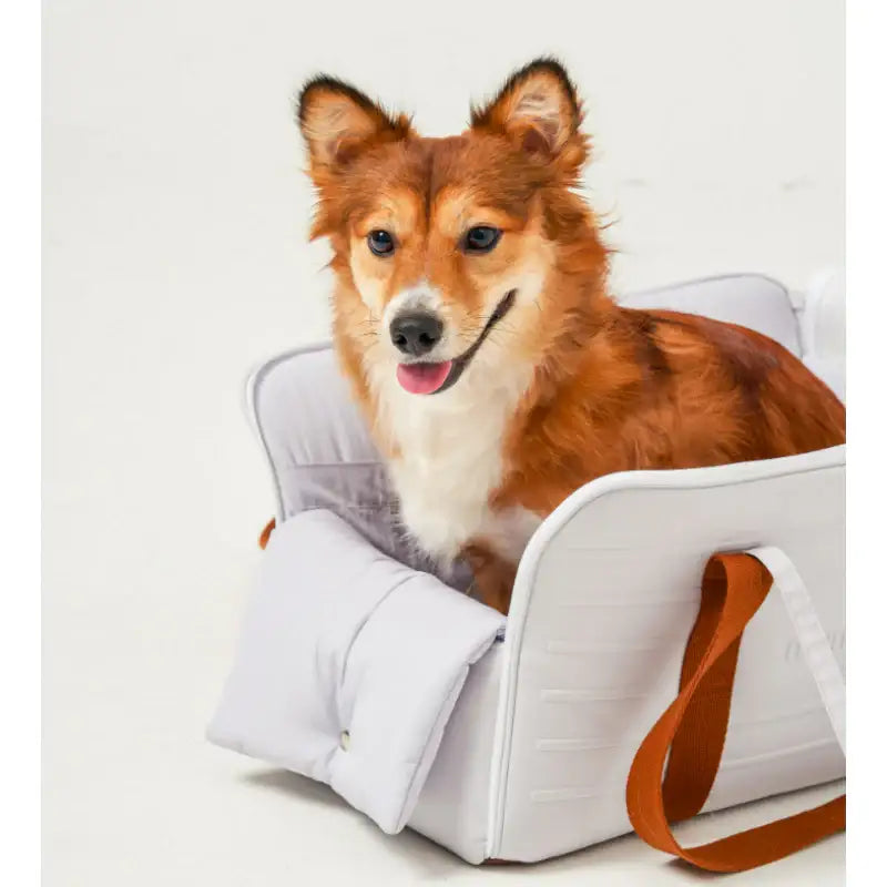 Mummur - Carry Bag - Mummur - Bags - Harumio