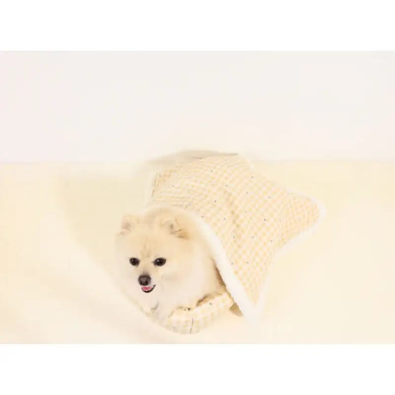 Mummur - Cushion and Blanket Set - Mummur - Pet Cushion - Harumio