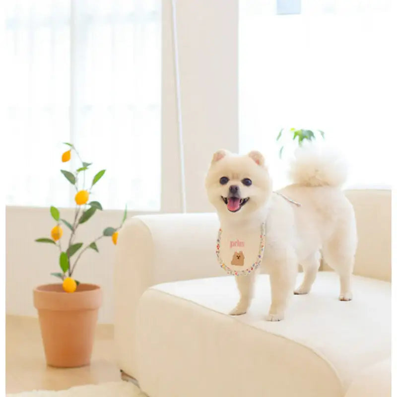 Mummur - Moomoo Bib - Mummur - Pet Cushion - Harumio
