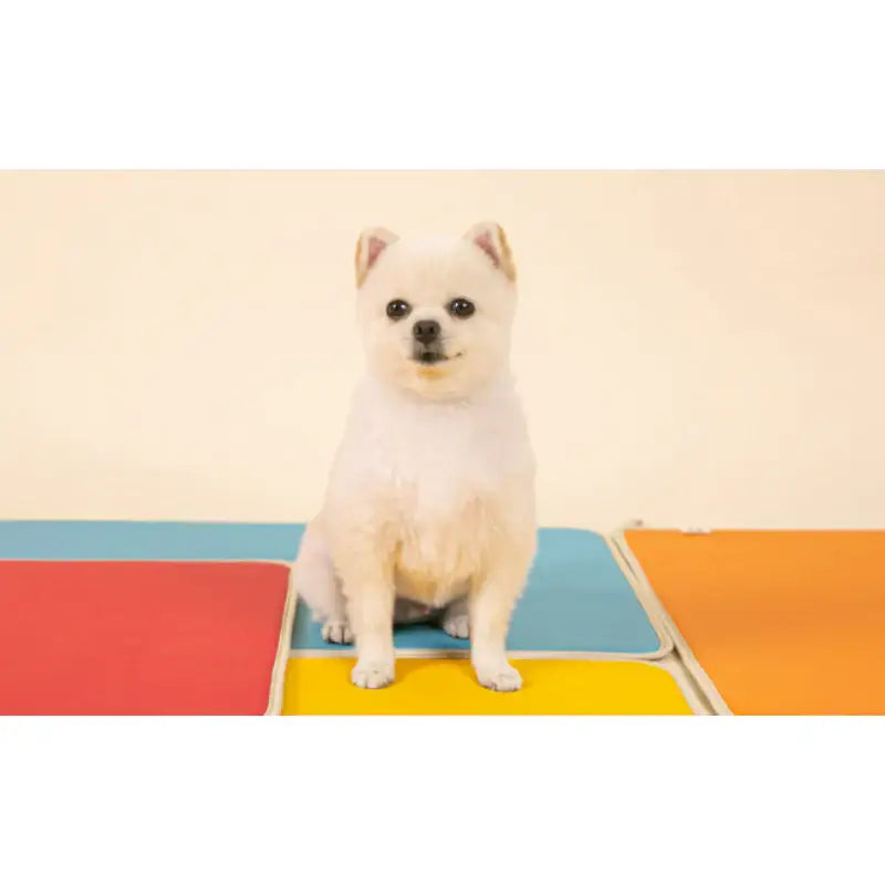 Mummur - Crepe Colorful Mat - Mummur - Pet Mat - Harumio