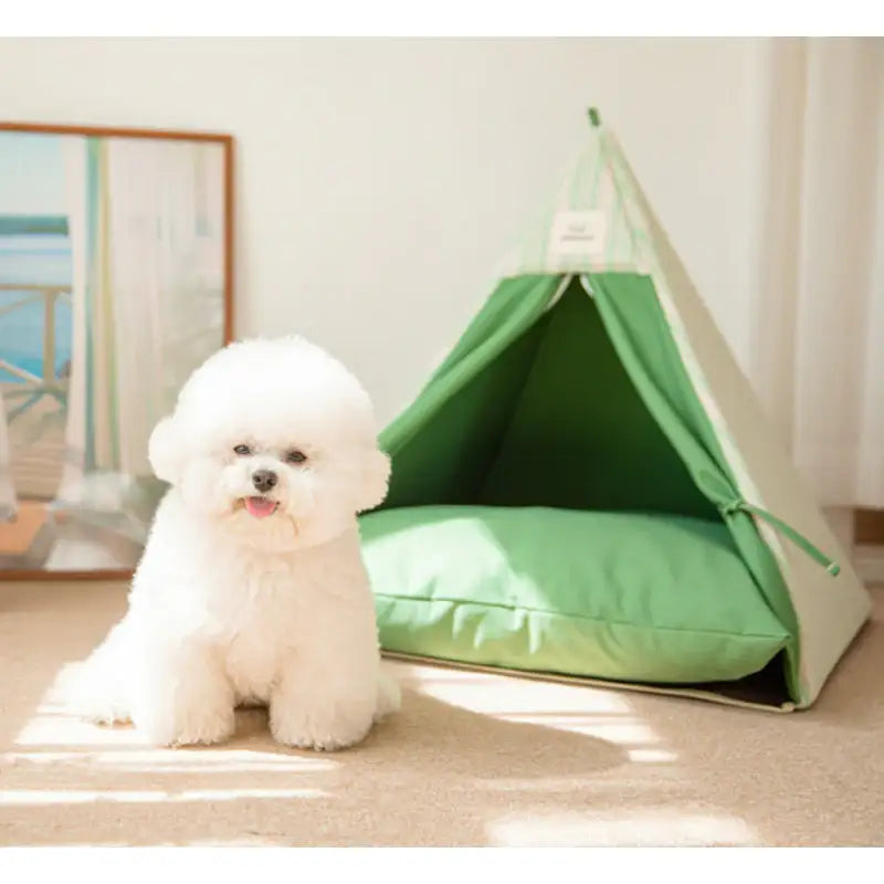Mummur - Butter Scone House - Mummur - Pet House - Harumio