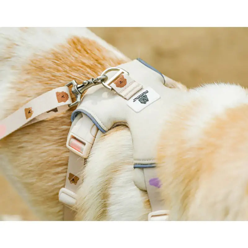 Mummur - Wearing Harness - Mummur - Pet Harness - Harumio