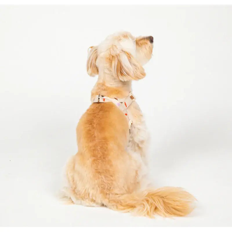 Mummur - L-Shaped Harness - Mummur - Pet Harness - Harumio