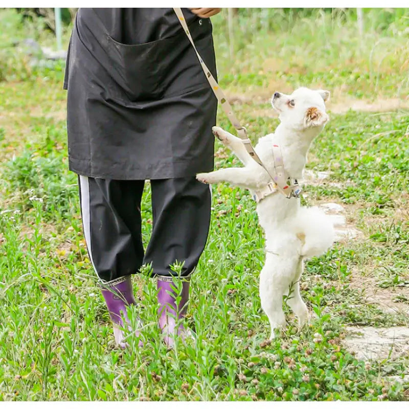 Mummur - L-Shaped Harness - Mummur - Pet Harness - Harumio