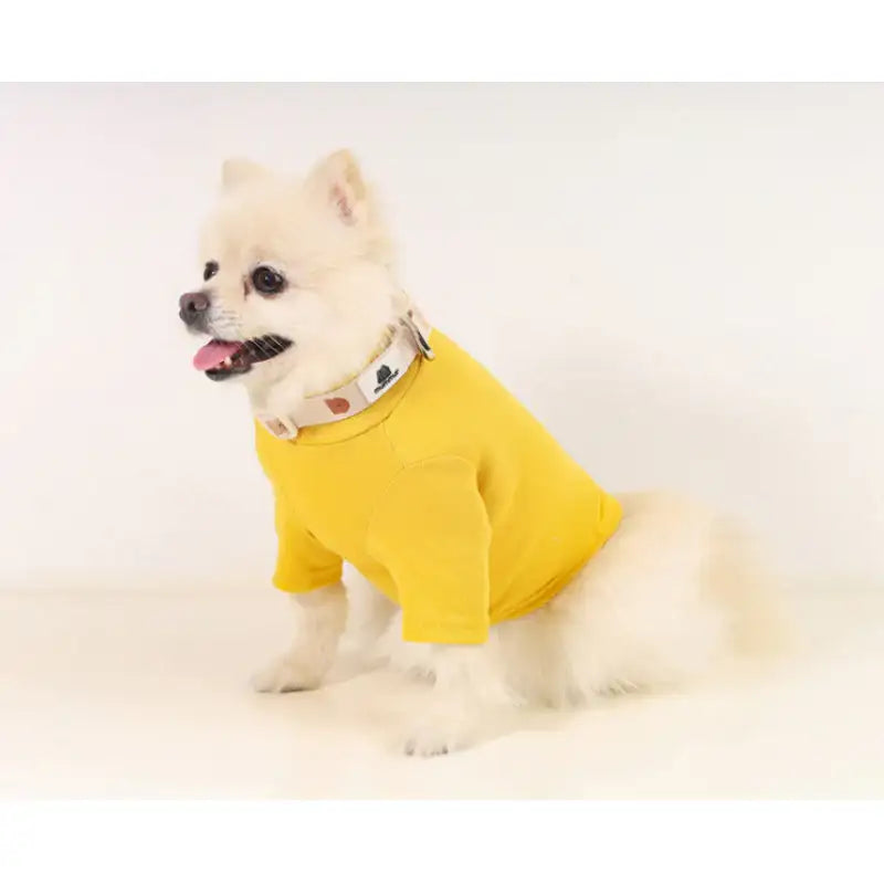 Mummur - Leash - Mummur - Pet Harness - Harumio