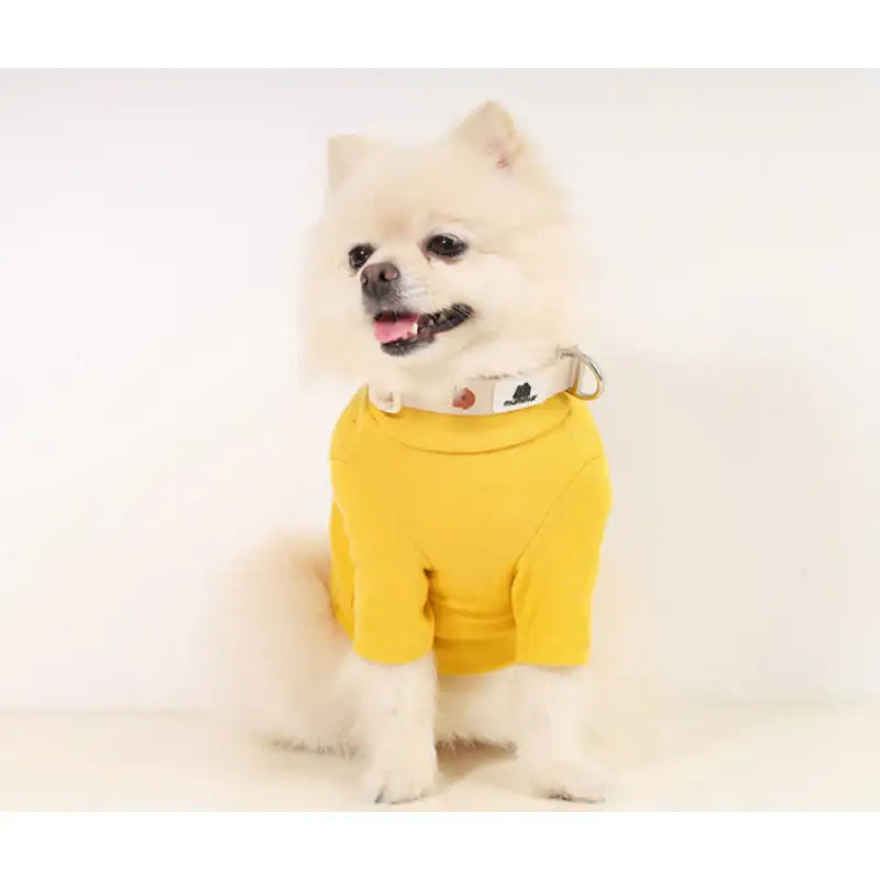 Mummur - Leash - Mummur - Pet Harness - Harumio