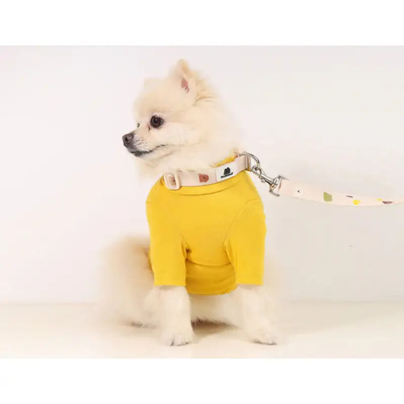 Mummur - Leash - Mummur - Pet Harness - Harumio