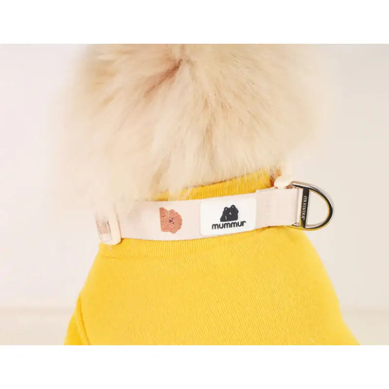 Mummur - Leash - Mummur - Pet Harness - Harumio