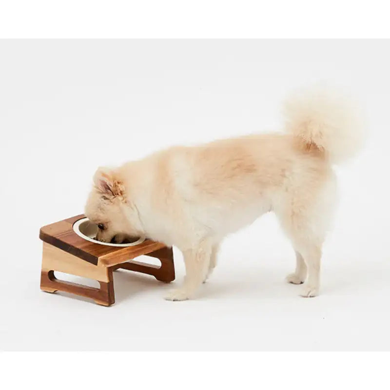 Mummur - Bon Appetit - Mummur - Tableware - Harumio