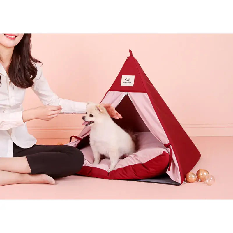Mummur - Scone House - Mummur - Pet House - Harumio