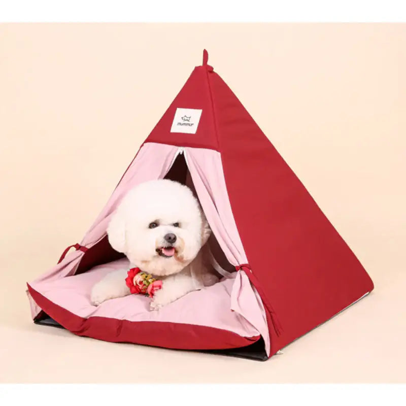 Mummur - Scone House - Mummur - Pet House - Harumio