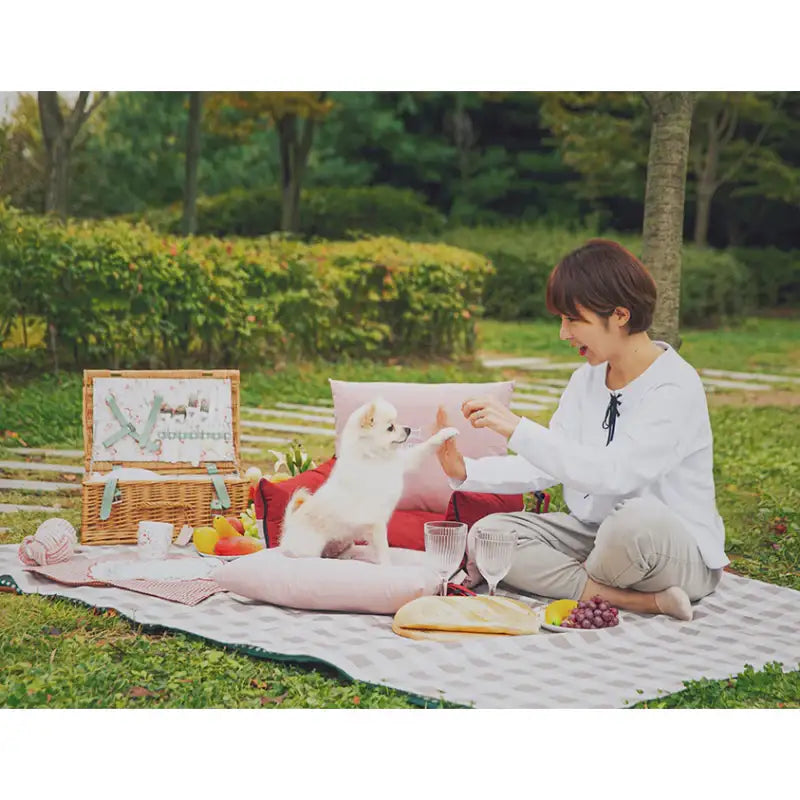 Mummur - Ma-car on Pet Driving Kit - Mummur - Bags - Harumio
