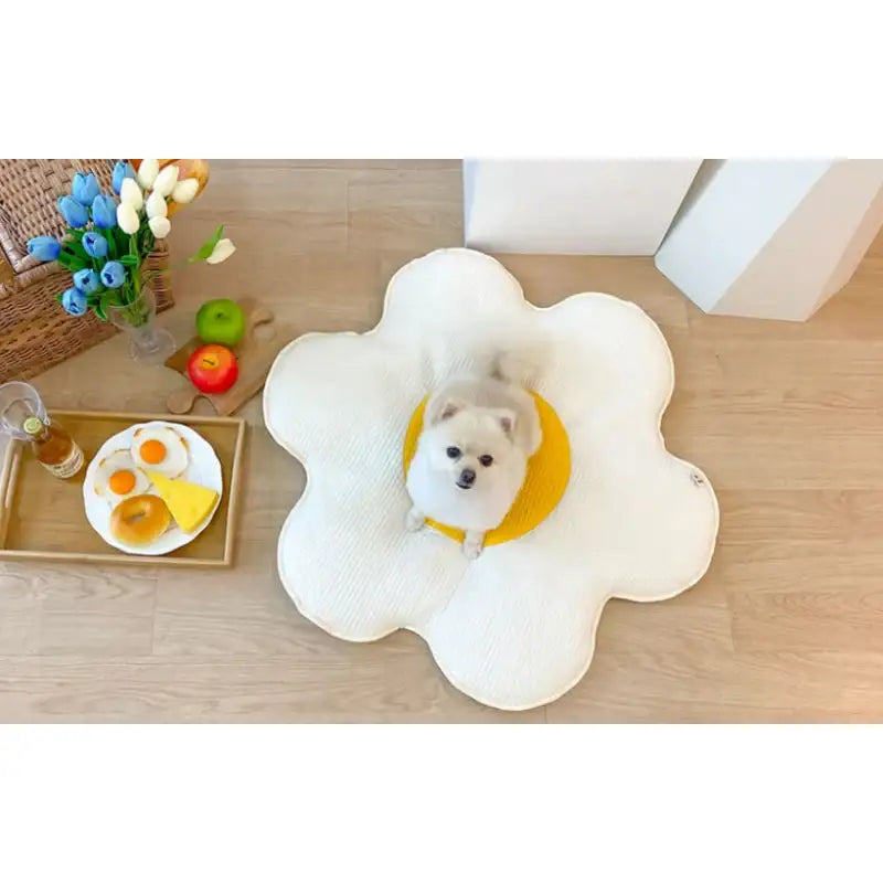 Mummur - Sunny Side Up Thin Cushion - Mummur - Pet Cushion - Harumio