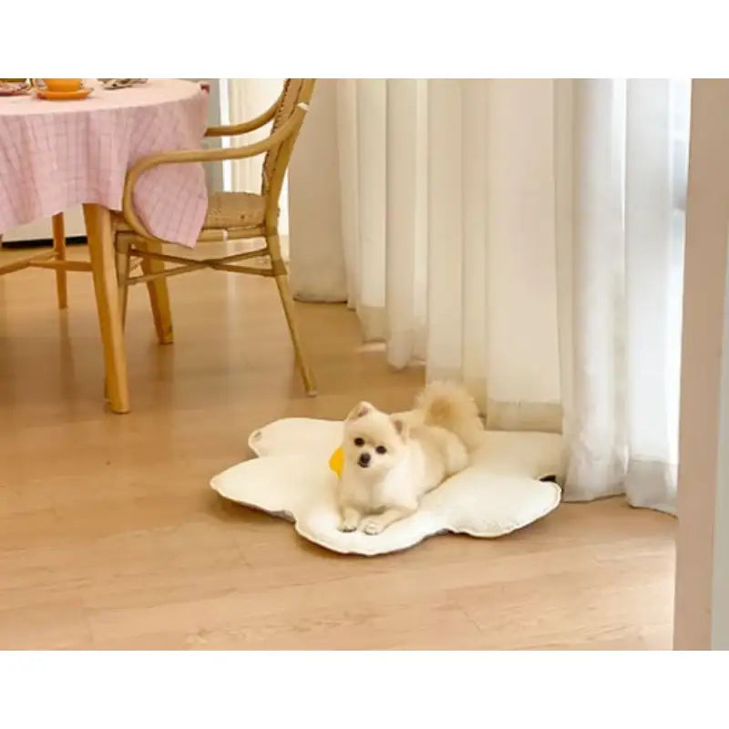 Mummur - Sunny Side Up Thin Cushion - Mummur - Pet Cushion - Harumio