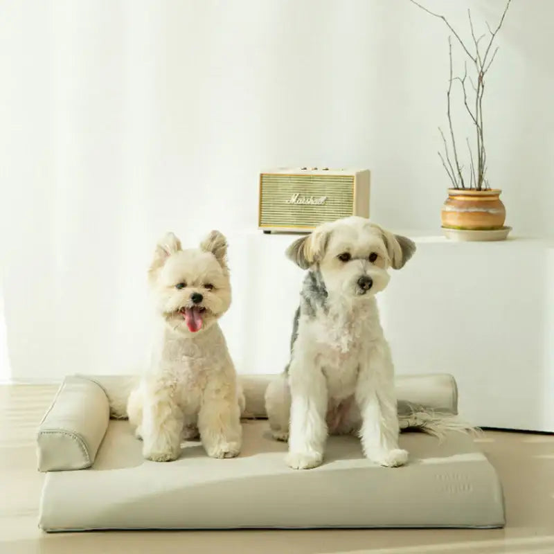Mummur - MOFM S01 Sofa - Mummur - Pet Cushion - Harumio