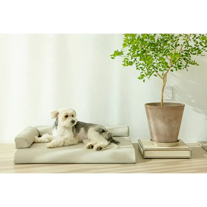 Mummur - MOFM S01 Sofa - Mummur - Pet Cushion - Harumio