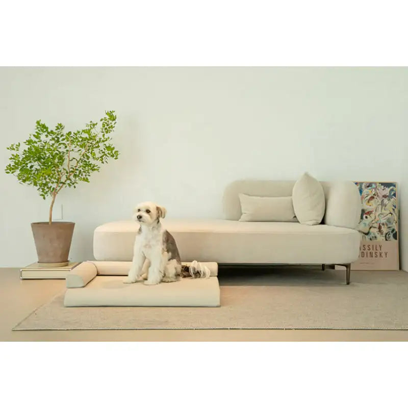 Mummur - MOFM S01 Sofa - Mummur - Pet Cushion - Harumio