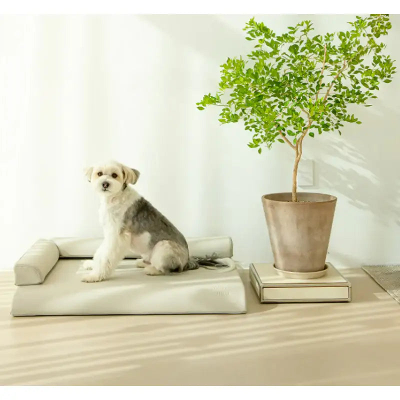 Mummur - MOFM S01 Sofa - Mummur - Pet Cushion - Harumio
