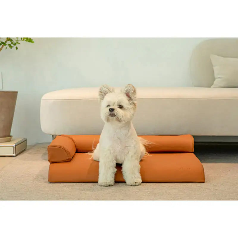 Mummur - MOFM S01 Sofa - Mummur - Pet Cushion - Harumio