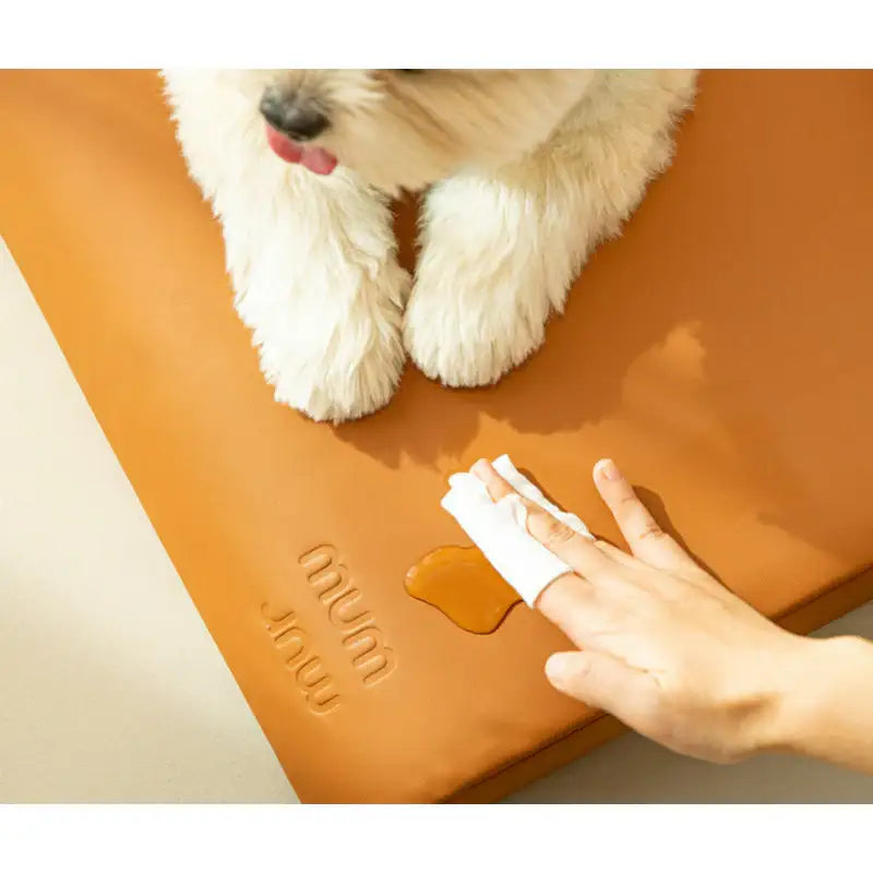Mummur - MOFM S01 Sofa - Mummur - Pet Cushion - Harumio
