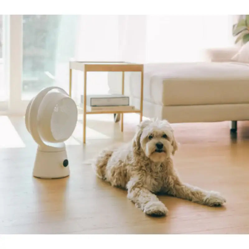 Wadiz x Coolean - Honeycomb Air Purifier Wireless Circulator - Wadiz x Coolean - Accessories - Harumio