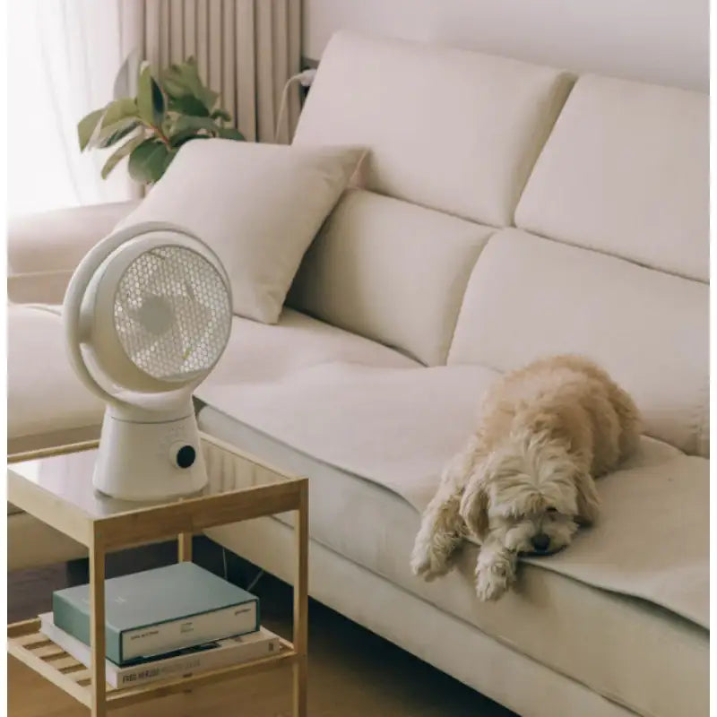 Wadiz x Coolean - Honeycomb Air Purifier Wireless Circulator - Wadiz x Coolean - Accessories - Harumio