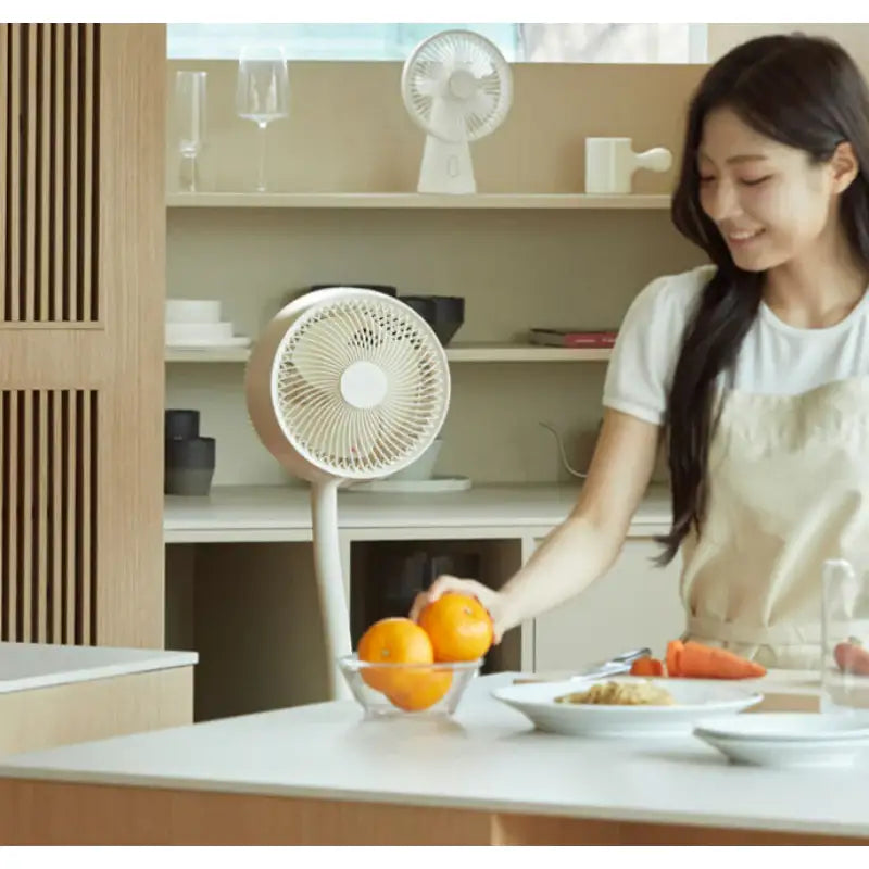 Wadiz x LIVJET - Air Circulator - Wadiz x LIVJET - Accessories - Harumio