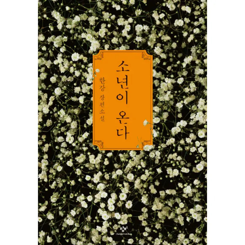 2024 Nobel Prize in Literature Winner Han Kang's Representative Works Set - Han Kang - Literature - Harumio