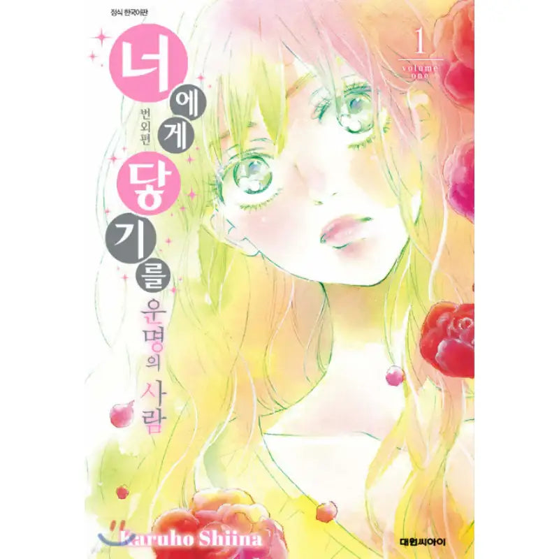 Kimi ni Todoke: From Me to You Extra Episode Destiny's Person - Manhwa - Daewon - Manhwa - Harumio