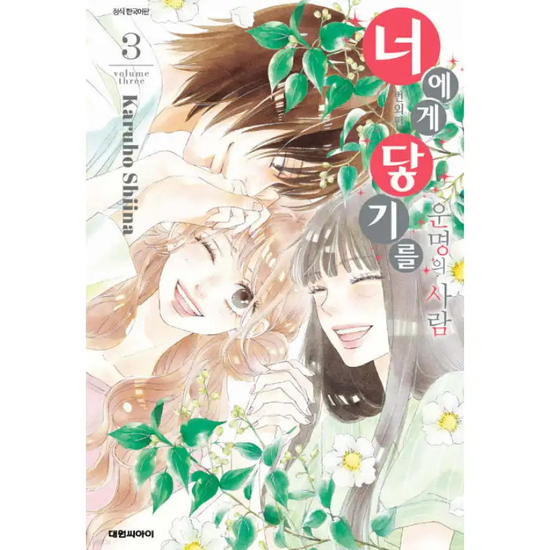 Kimi ni Todoke: From Me to You Extra Episode Destiny's Person - Manhwa - Daewon - Manhwa - Harumio