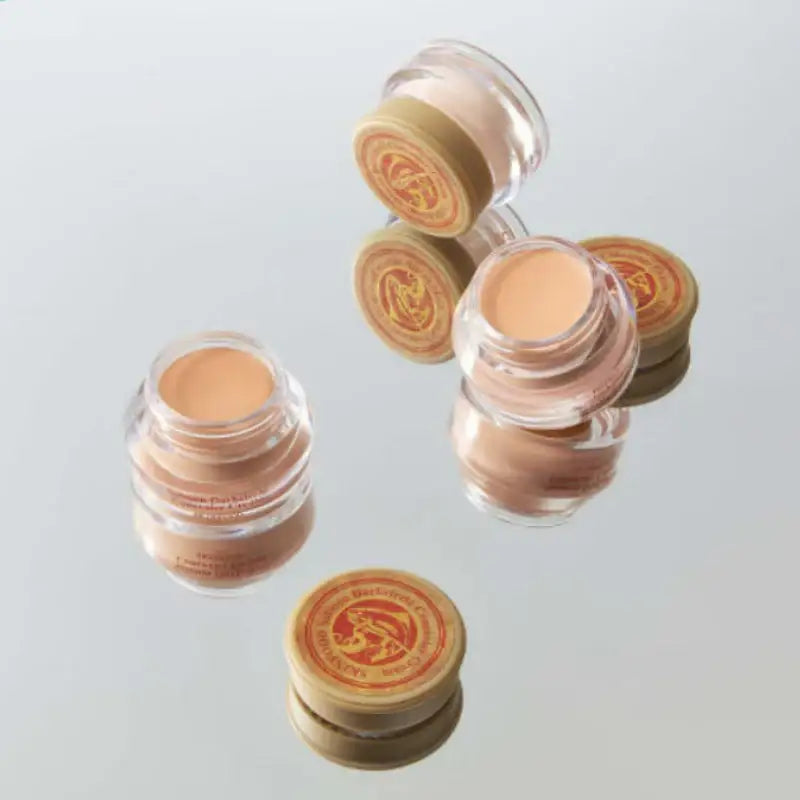 SKINFOOD - Salmon Dark Circle Concealer Cream - SKINFOOD - Concealer - Harumio