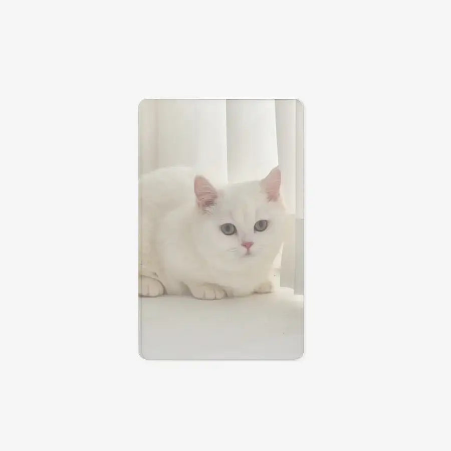 Melanger - Cutie Cat Vertical Photocard - Marpple Shop - Photocard - Harumio