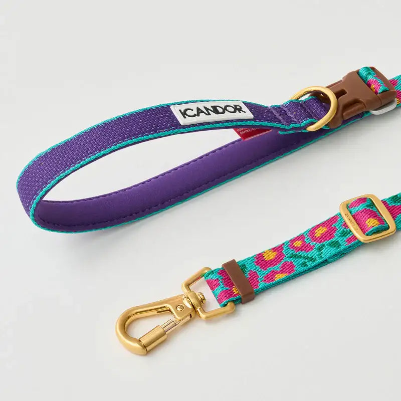 iCANDOR - Gentle Leash Bolt, Long - iCANDOR - Pet Lead - Harumio
