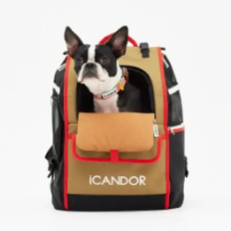 iCANDOR - Wooly Cushion - iCANDOR - Pet Cushion - Harumio