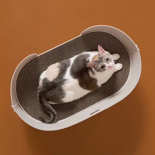 Duit - Pet All Day Board - Duit - Pet Carriers - Harumio