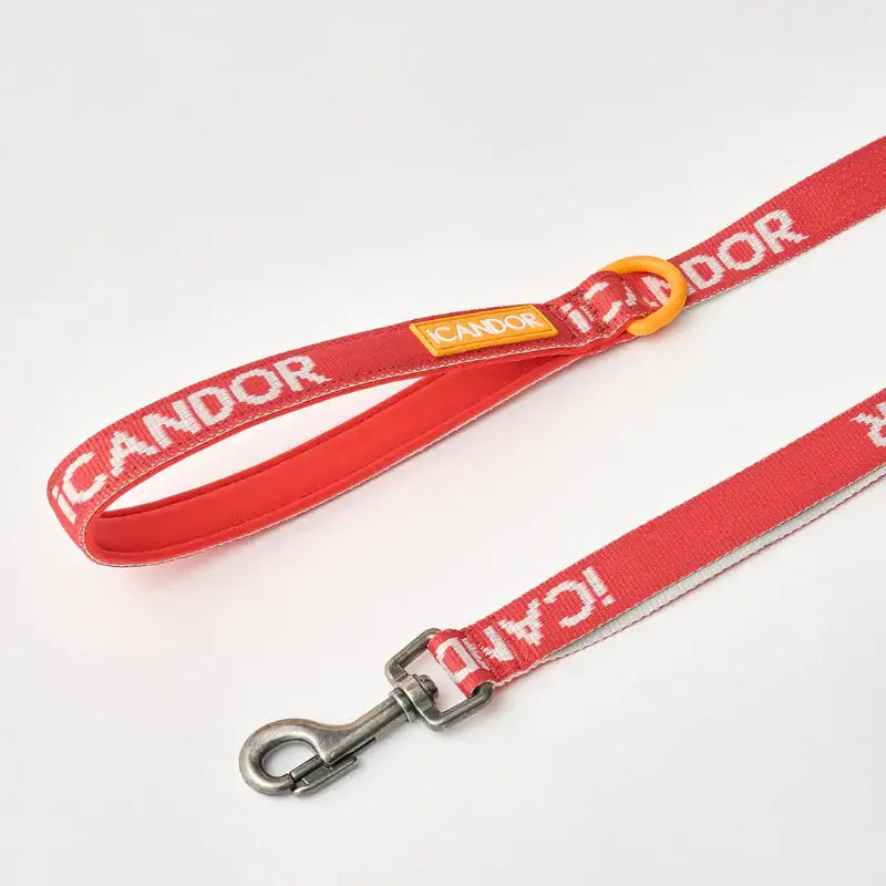 iCANDOR - Gentle Leash - iCANDOR - Pet Lead - Harumio