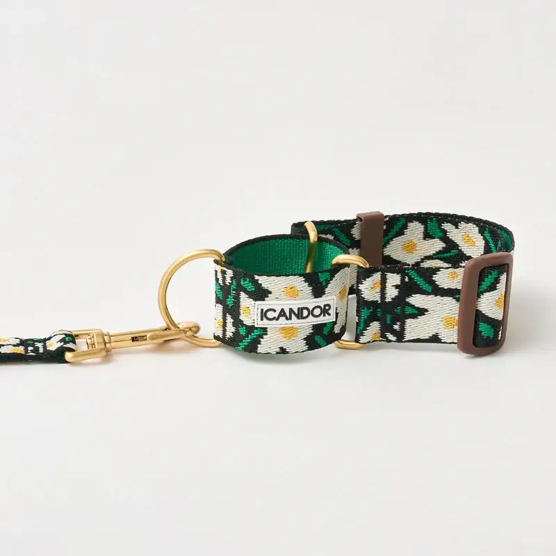 iCANDOR - Smooth Martingale Collar - iCANDOR - Pet Collars - Harumio