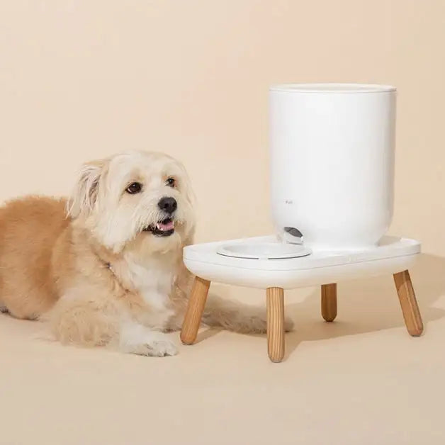 Duit - Pet The Table Plus - Duit - Home & Living, Accessories - Harumio