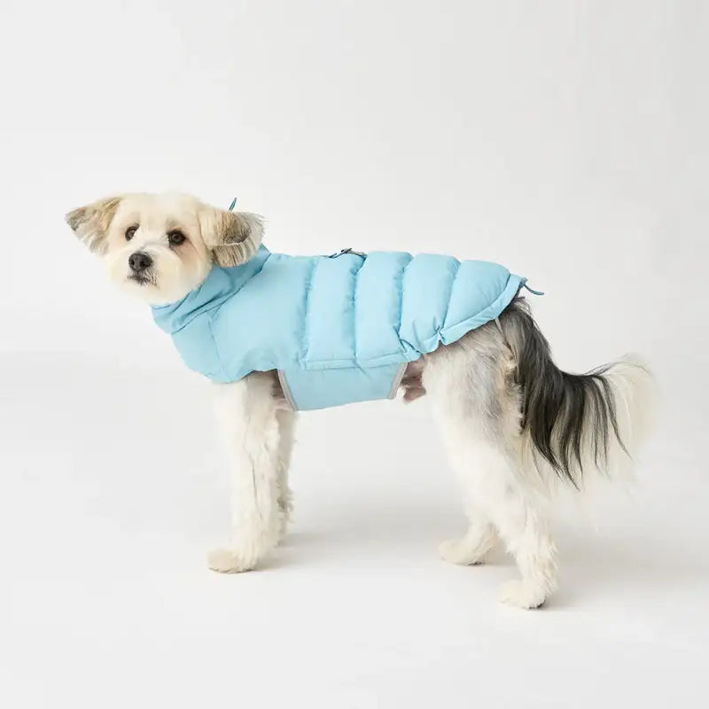iCANDOR - F/W Edition - Adventure Parka, Thermo 3 - iCANDOR - Pet Clothes - Harumio