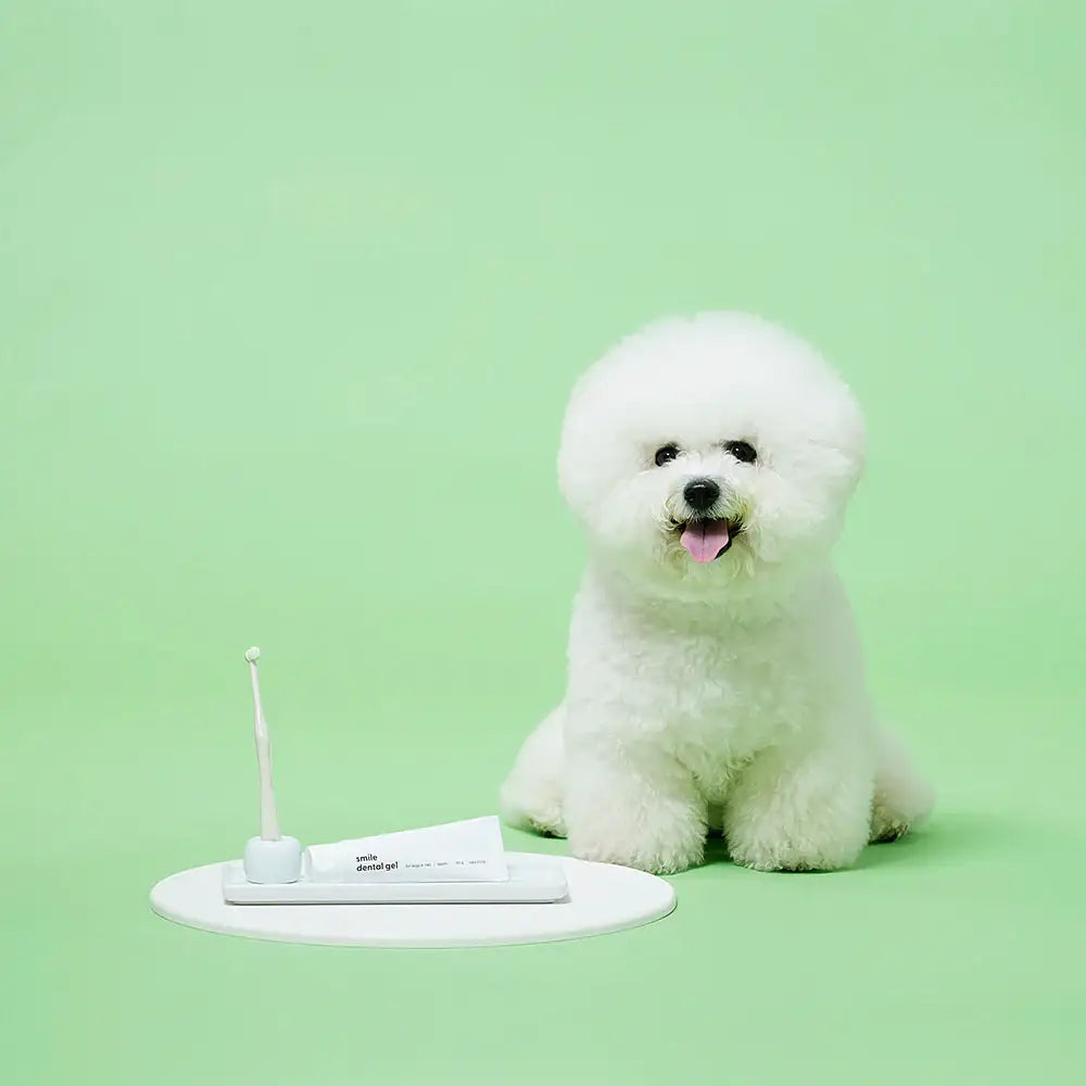 Duit - Pet Smile Dental Brush & Gel Set - Duit - Home & Living, Accessories - Harumio