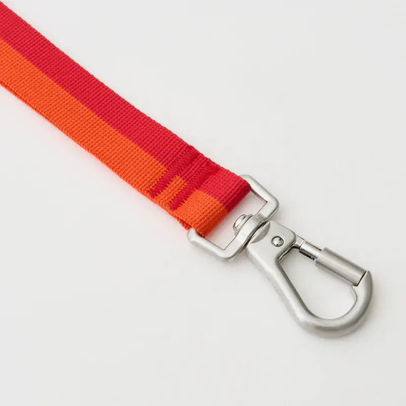 iCANDOR - Gentle Leash Bolt - iCANDOR - Pet Lead - Harumio