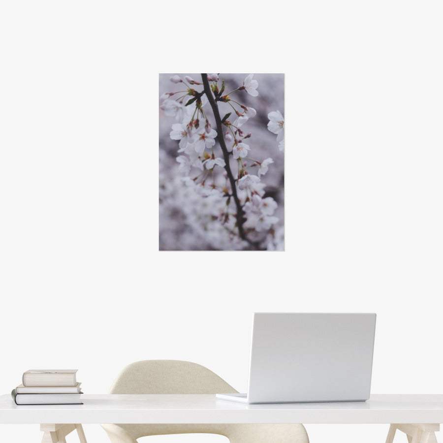 Do Hun Lee - Cherry Blossom A3 Poster - Marpple Shop - Poster - Harumio