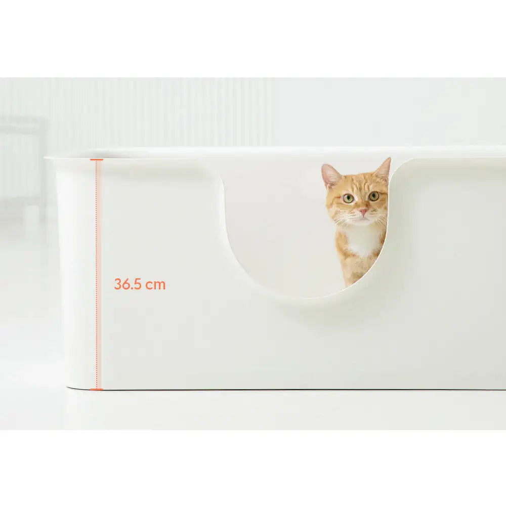 Duit - Poo Poo Long Box - Duit - Home & Living, Accessories - Harumio