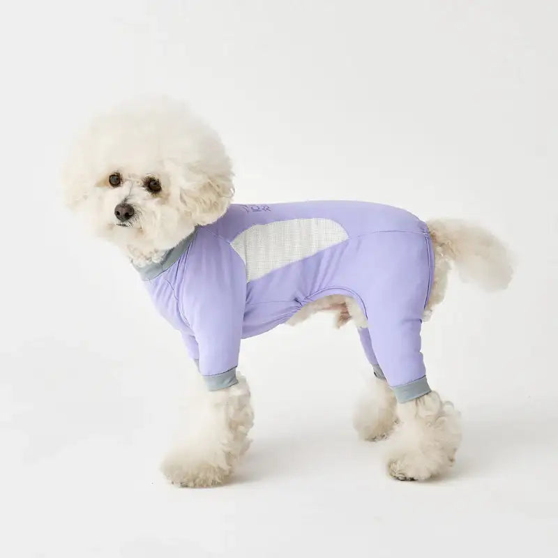 iCANDOR - Ocean Suit - iCANDOR - Pet Clothes - Harumio
